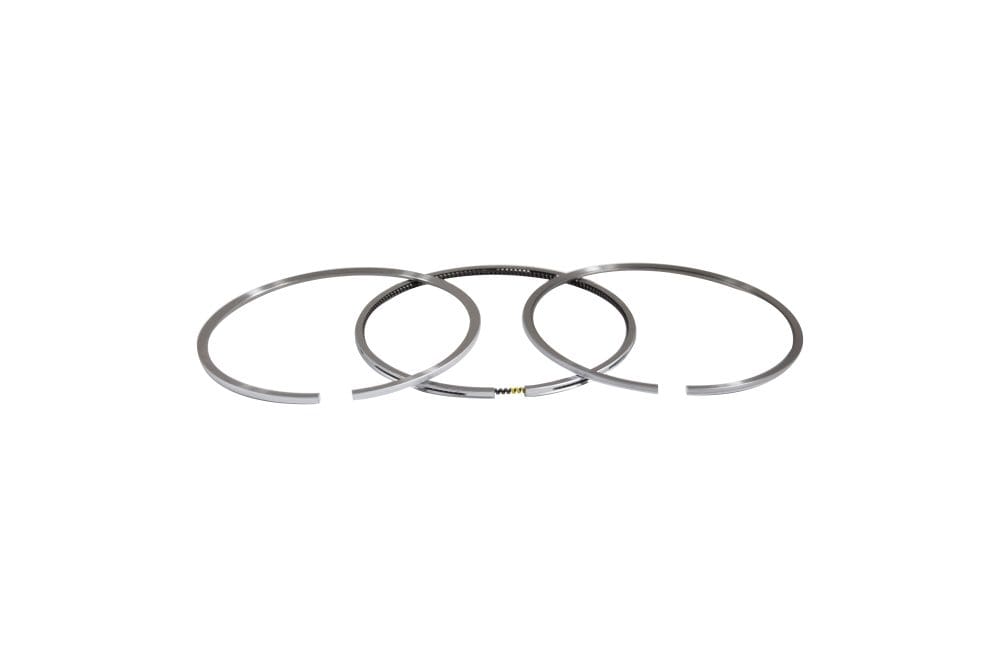 Cat 3300 Oil Control Ring 305029
