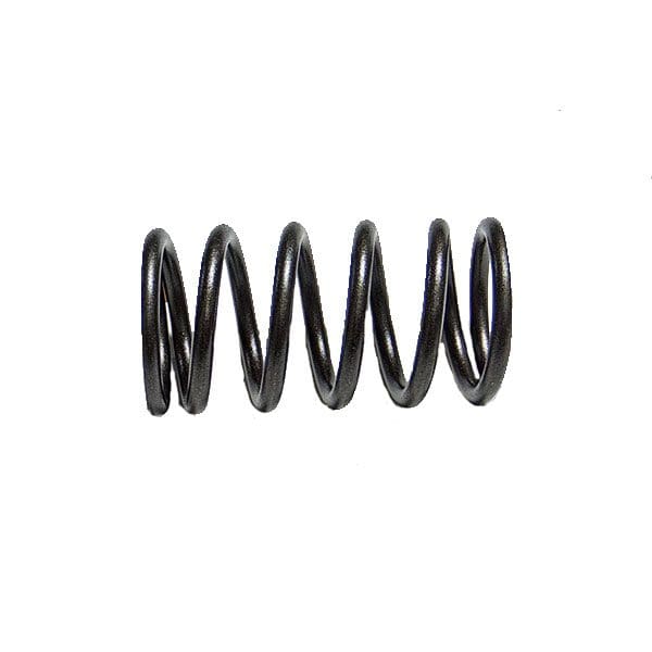Cat C9 Outer Valve Spring 1906117