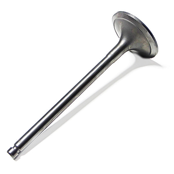 Cat Valve, Intake 2128477