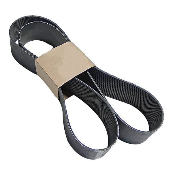 Cummins Belt 3003341