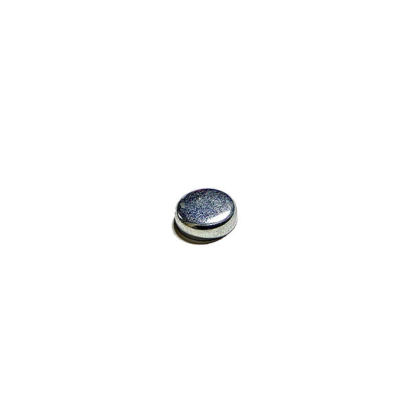 Cummins Cam Follower Expansion Plug 175831