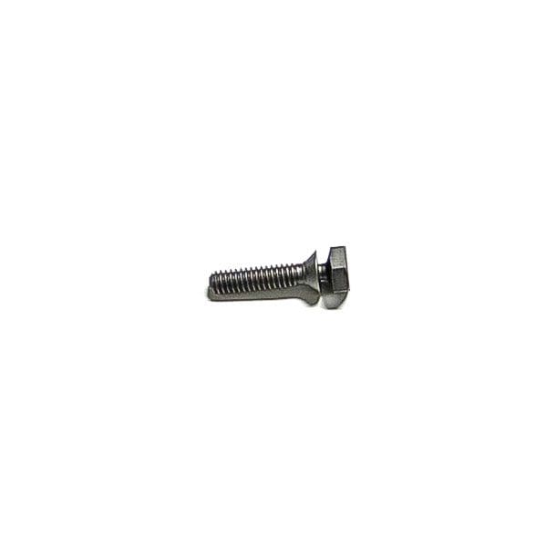 Cummins Capscrew 204925
