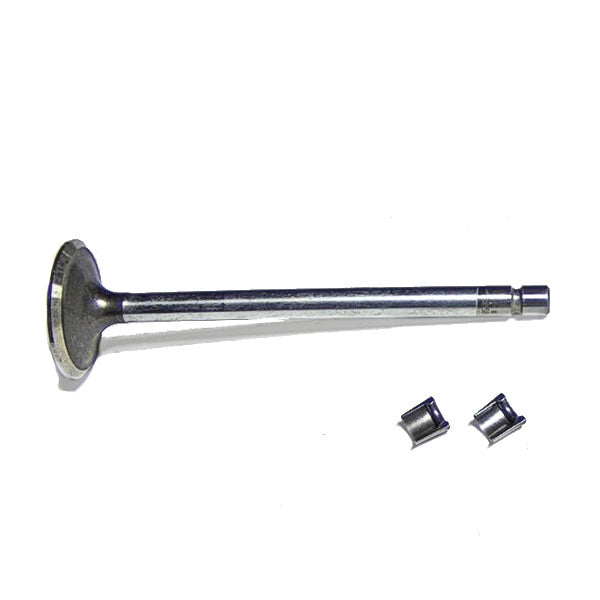 Cummins ISC 8.3L Exhaust Valve Kit 3800341