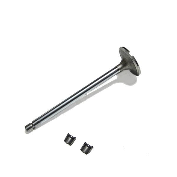 Cummins ISC 8.3L Intake Valve Kit 3800340