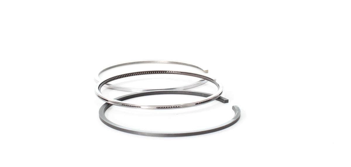 Cummins ISC 8.3L Piston Ring Set 4955651