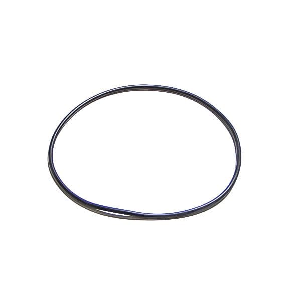 Cummins ISC 8.3L Seal Ring 3926048