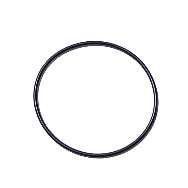 Cummins ISC 8.3L Water Pump O-Ring 3902089