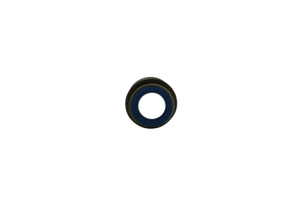 Cummins ISM, M11 Valve Steam Seal 4003966