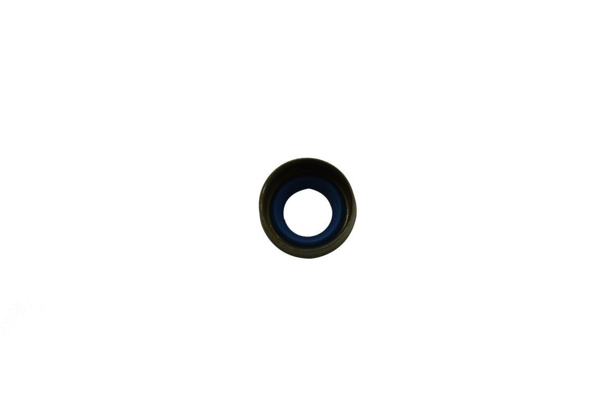 Cummins ISM, M11 Valve Steam Seal 4003966