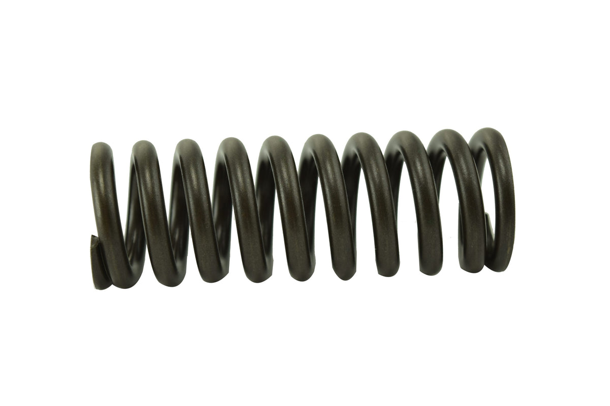 Cummins ISX Valve Spring 3679551
