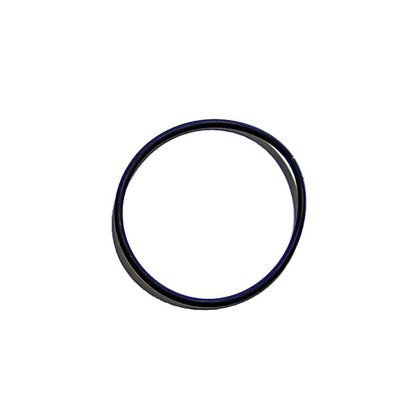 Cummins ISX Water Pump O-Ring 4059172
