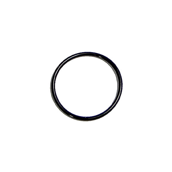 Cummins K19 O-Ring Seal 145581