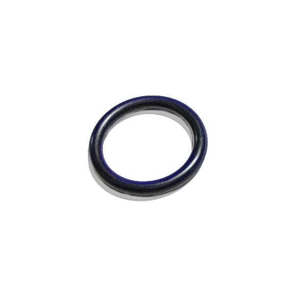 Cummins L10 O-Ring Seal 3892095