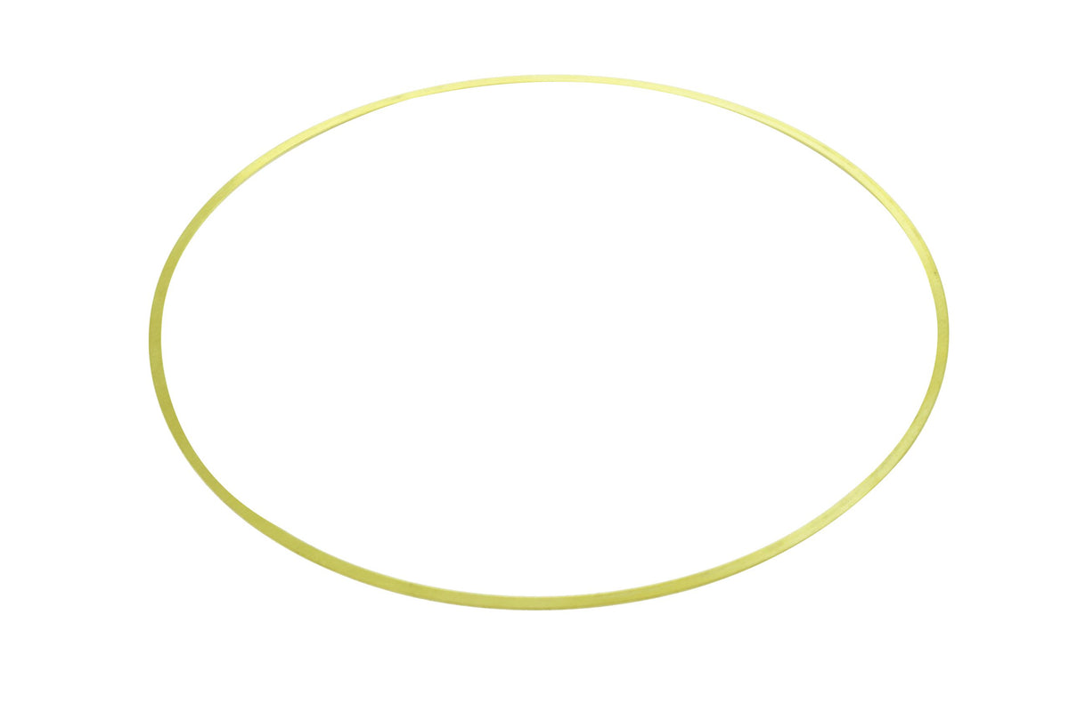 Cummins N14, 855 .020" Seal Ring 3065406