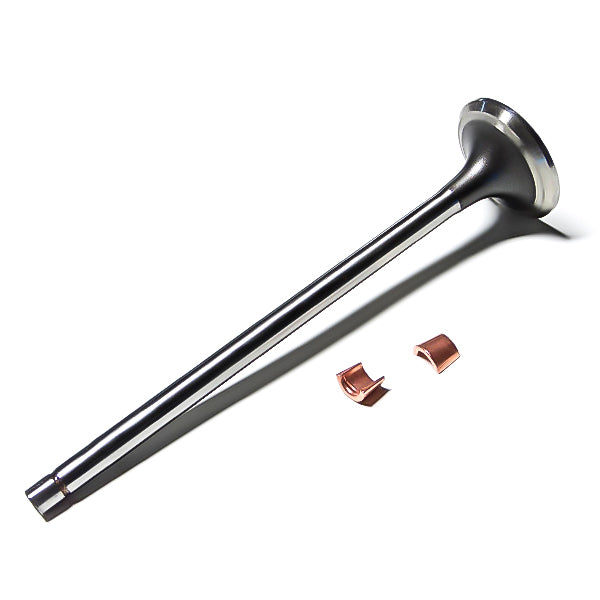 Cummins N14 Exhaust Valve Kit 3166410