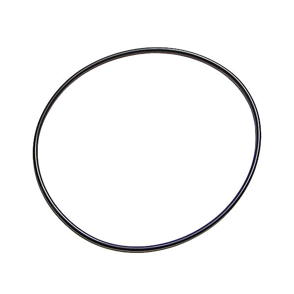 Cummins O-Ring Seal 3029640