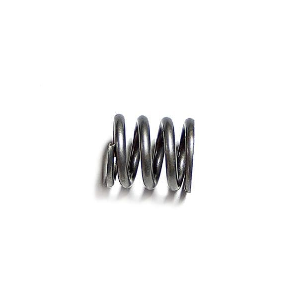 Cummins Plunger Spring 3054852