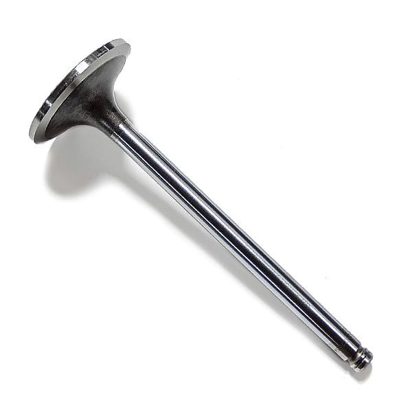 Cummins Valve, Intake, 8.3 Gas 3927254