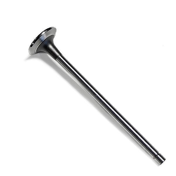 Cummins Valve, Intake, M11 4926069