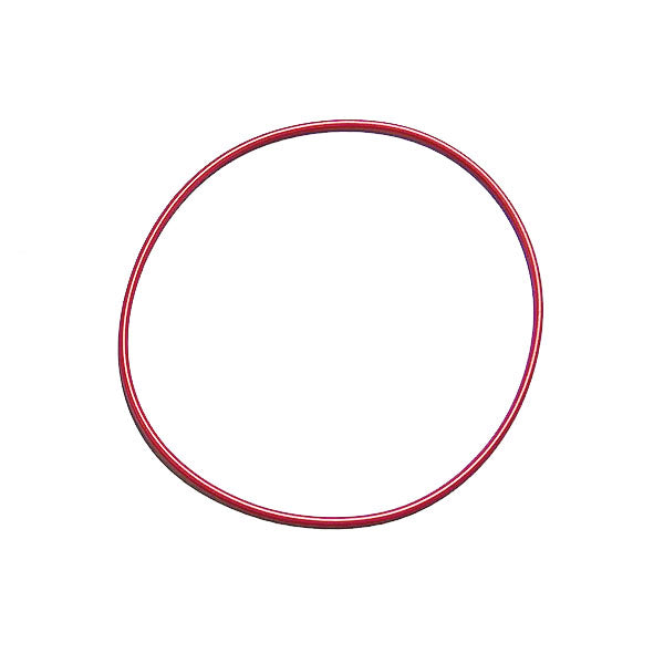Cummins Water Pump Ring Seal 3882774