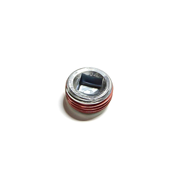 Detroit Plug 5115214