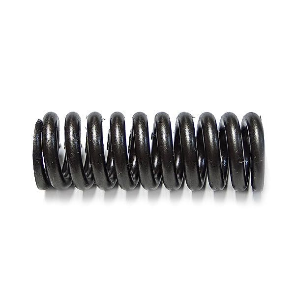 Detroit Push Rod Spring 5186858