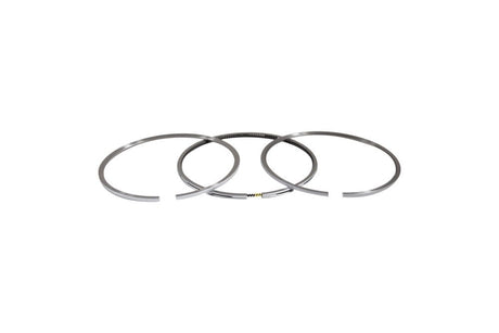 Cat 3300 Oil Control Ring 305029