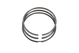Cat 3300 Oil Control Ring 305029
