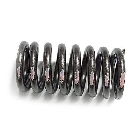 Cat 3406B, 3406C Valve Spring 4N5906