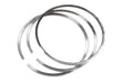 Cat 3406E, 3406B, 3406C Piston Ring Set 1W8922