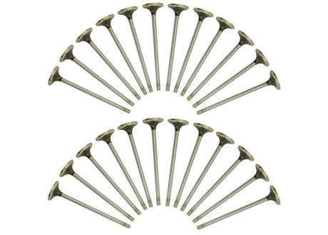 Cat 3406E Intake Valves 1537023
