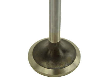 Cat 3406E Intake Valves 1537023