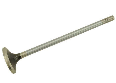 Cat 3406E Intake Valves 1537023