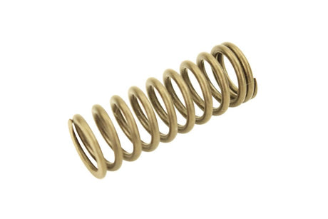 Cat C12 Inner Valve Spring 2244441