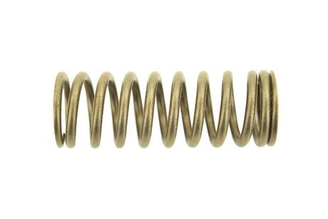 Cat C12 Inner Valve Spring 2244441