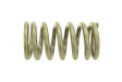 Cat C12 Outer Valve Spring 2140586
