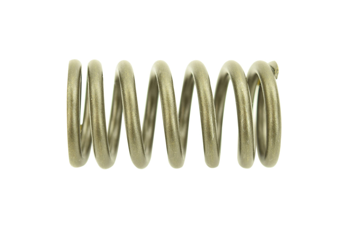 Cat C12 Outer Valve Spring 2140586