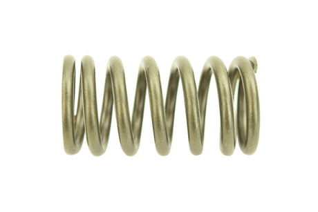Cat C12 Outer Valve Spring 2140586