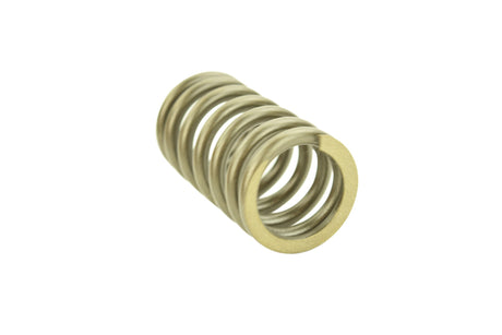 Cat C12 Outer Valve Spring 2140586