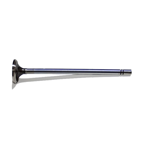 Cat C15, 3406E, C16 Exhaust Valve 4907200