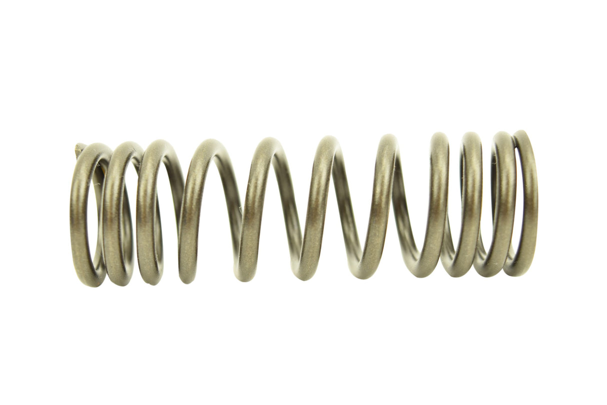 Cat C15 Acert, C15, 3406E Inner Spring 2113122