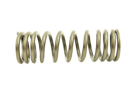Cat C15 Acert, C15, 3406E Inner Spring 2113122