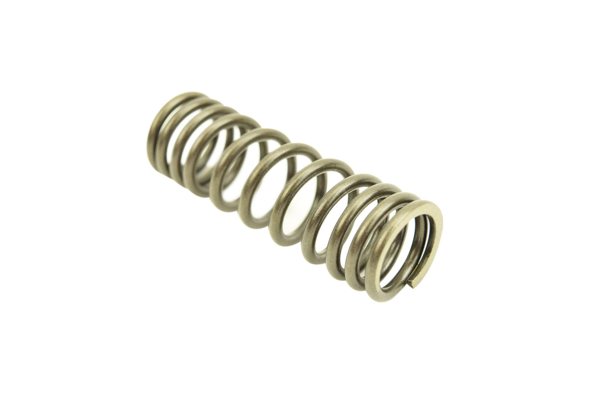 Cat C15 Acert, C15, 3406E Inner Spring 2113122