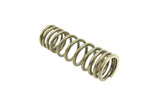 Cat C15 Acert, C15, 3406E Inner Spring 2113122