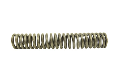 Cat C15 Acert, C15, 3406E Plunger Spring 2S2760