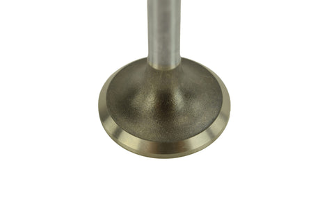 Cat C15, C15 Acert Exhaust Valve 1537024
