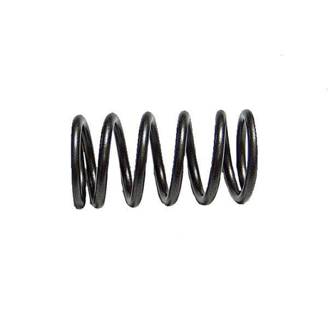 Cat C9 Outer Valve Spring 1906117