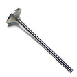 Cat Exhaust Valve 1219835