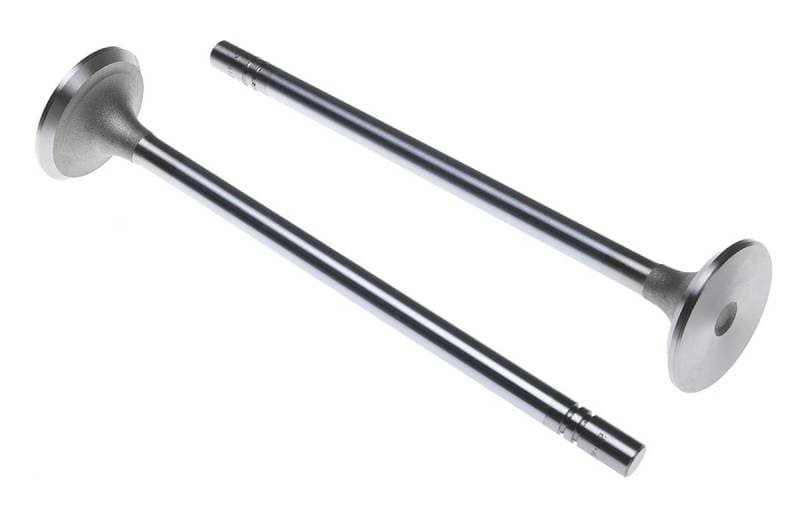 Cat Exhaust Valve 1220321