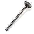 Cat Exhaust Valve 1P1081